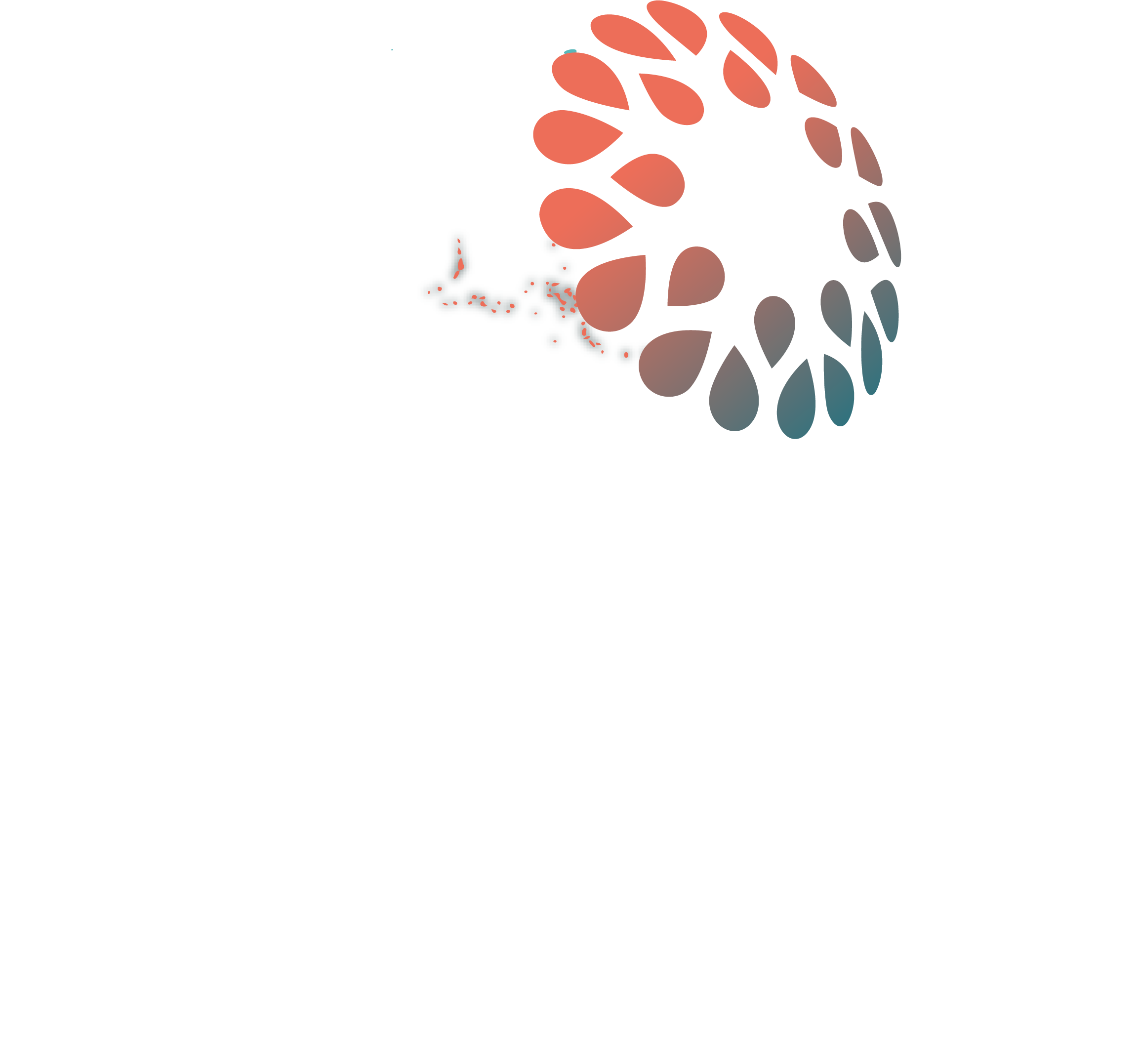 US Micronesia Council